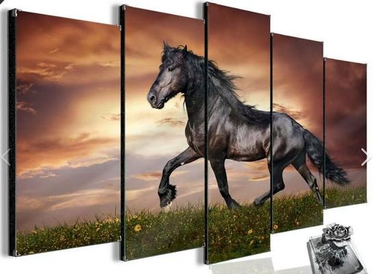 متحكم حائط فيديو HDMI متعدد الزوايا 20 وات مع حرية فنية